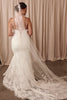 Mermaid lace wedding dress and veil_L_